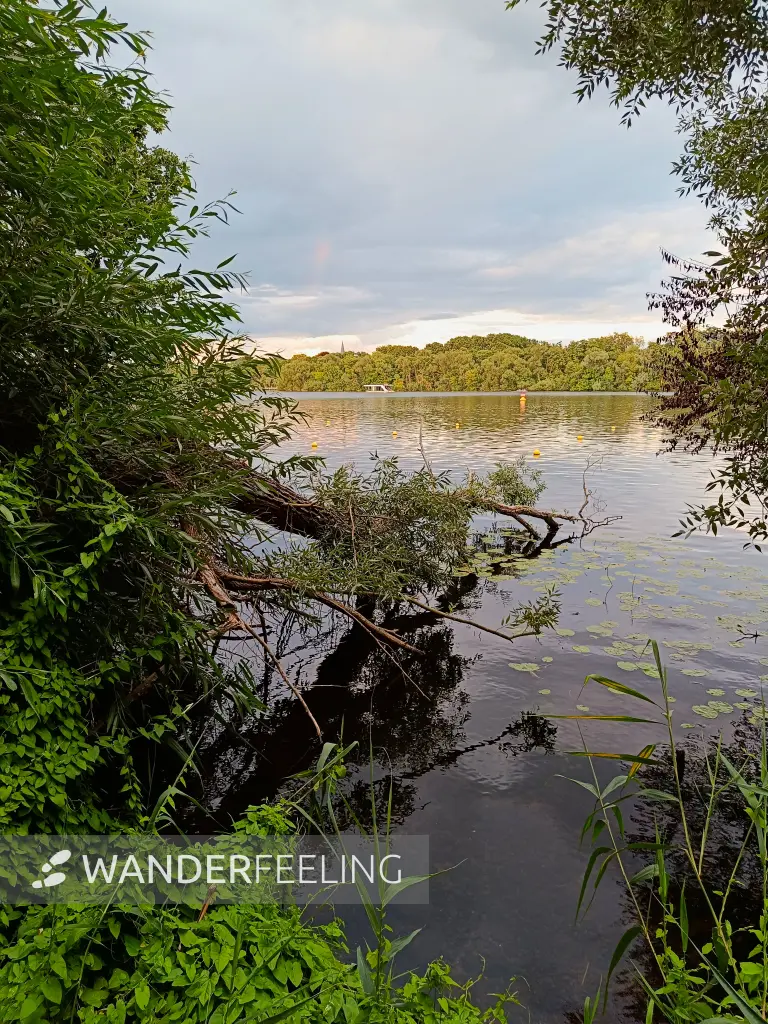 202507300-32 - Blick über den Templiner See, Potsdam, Brandenburg, Deutschland