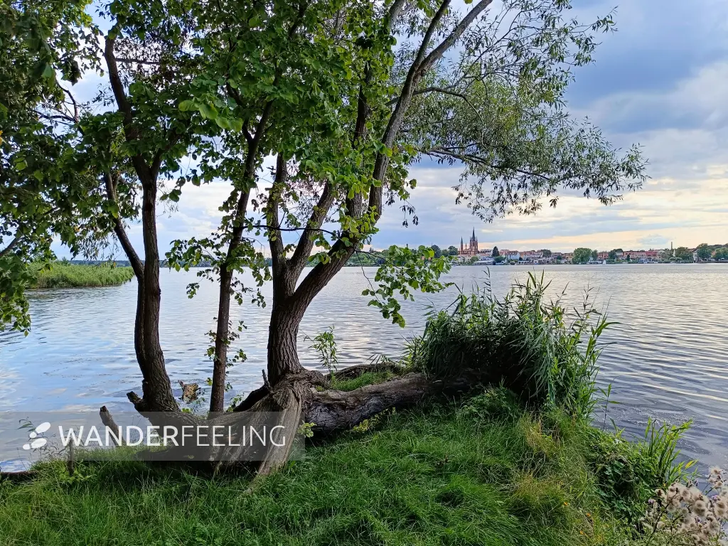 202507300-09 - Blick über die Havel auf Werder, Brandenburg, Deutschland