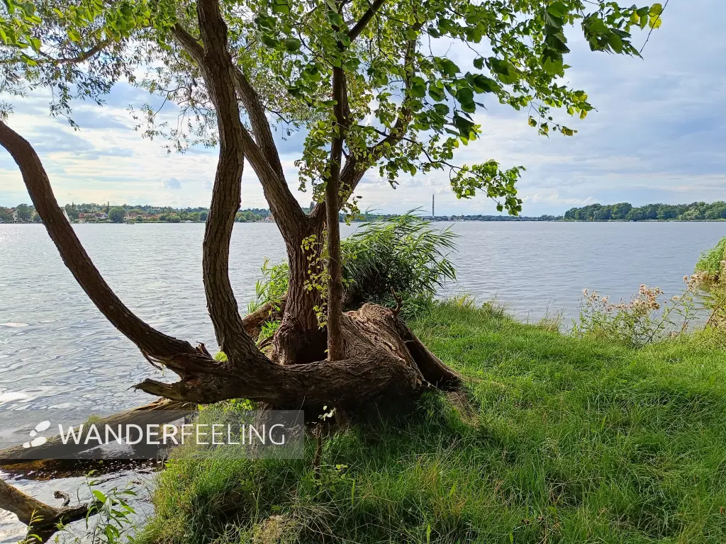 202507300-10 - Blick über die Havel auf Werder, Brandenburg, Deutschland