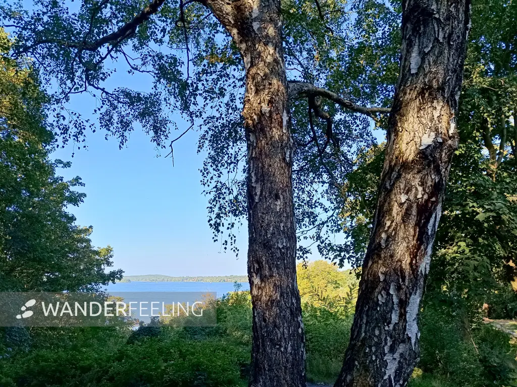 202509270-04 - Blick vom Grunewald auf die Havel, Berlin, Deutschland