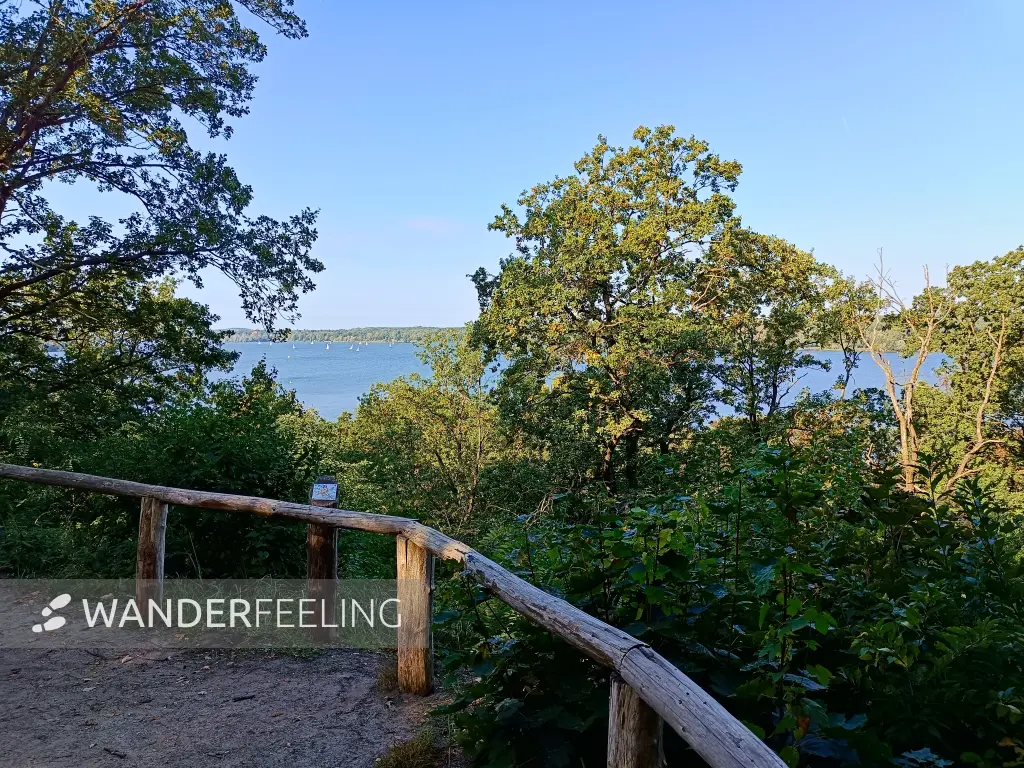 202509270-09 - Blick vom Grunewald auf die Havel, Berlin, Deutschland