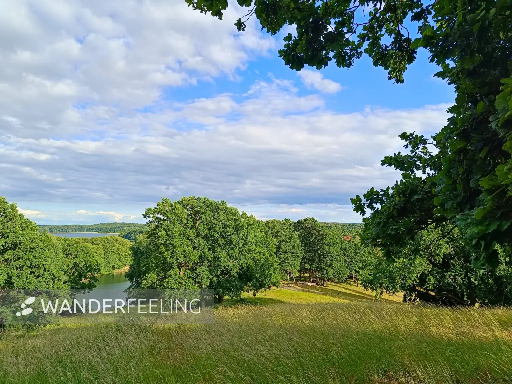 202606090-18 - Blick vom Hauptmannsberg bei Carwitz, Mecklenburgische Seenplatte, Mecklenburg-Vorpommern, Deutschland