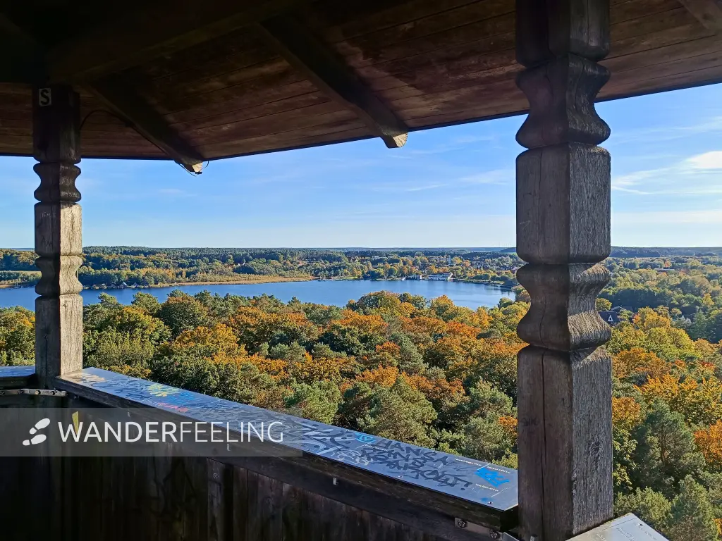 202510130-32 - Blick vom Jörnbergturm bei Krakow am See, Mecklenburgische Seenplatte, Mecklenburg-Vorpommern, Deutschland