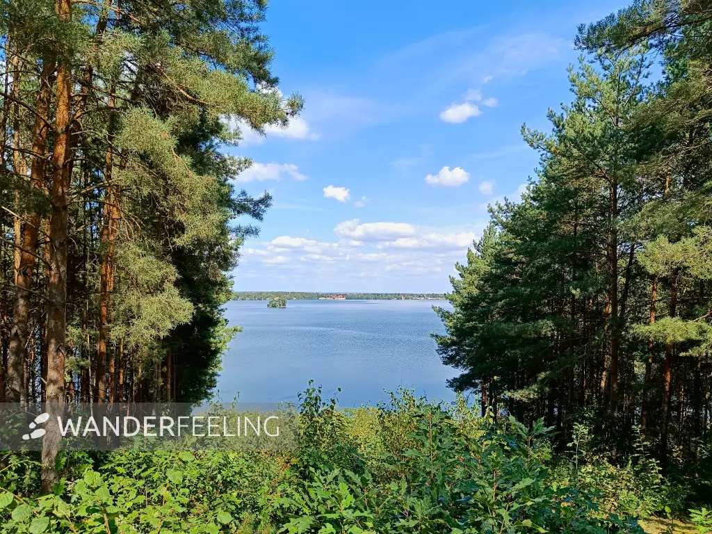 202408260-23 - Blick von der Hoffmannshöhe auf den Bergwitzsee, Anhalt-Dessau-Wittenberg, Sachsen-Anhalt, Deutschland