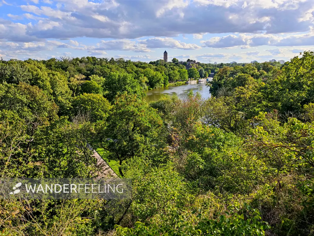 202308090-55 - Blick zur Burg Giebichenstein und der Saale in Halle, Sachsen-Anhalt, Deutschland