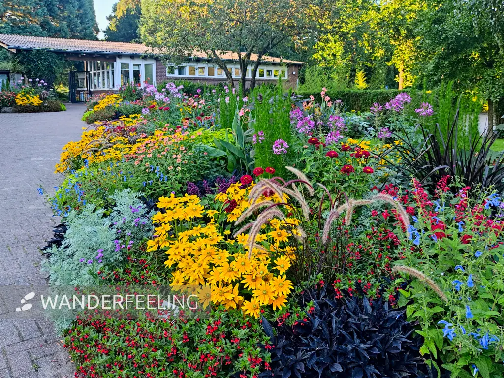 202308221-23 - Blumenbeet vor dem Loki-Schmidt-Garten in Klein Flottbek, Hamburg, Deutschland