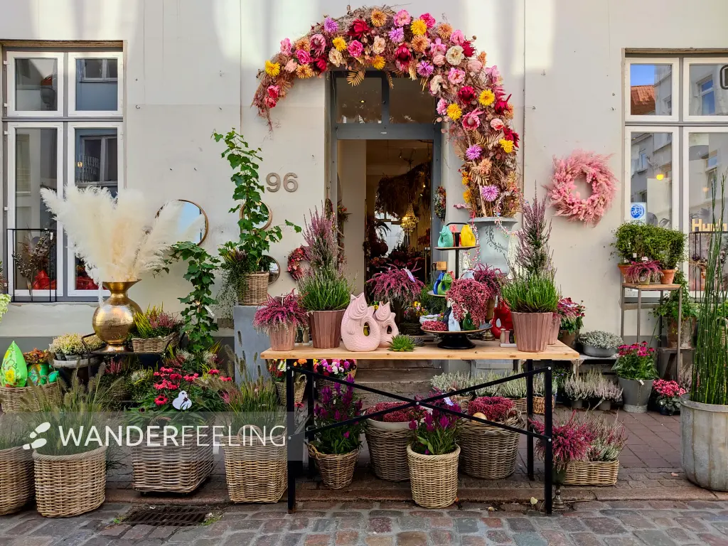 202309210-30 - Blumengeschäft in Lübeck, Lübecker Bucht, Schleswig-Holstein, Deutschland