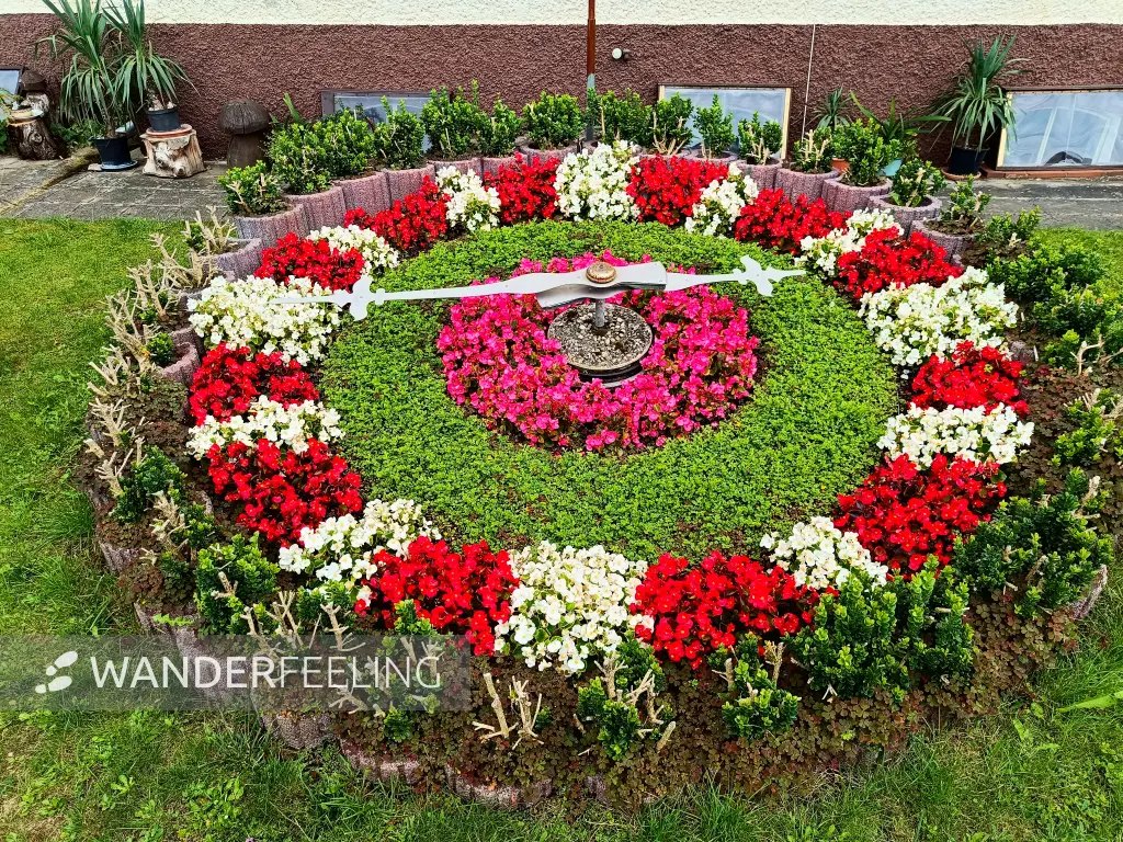 202508020-27 - Blumenuhr in Waldsieversdorf, Märkische Schweiz, Seenland Oder-Spree, Brandenburg, Deutschland