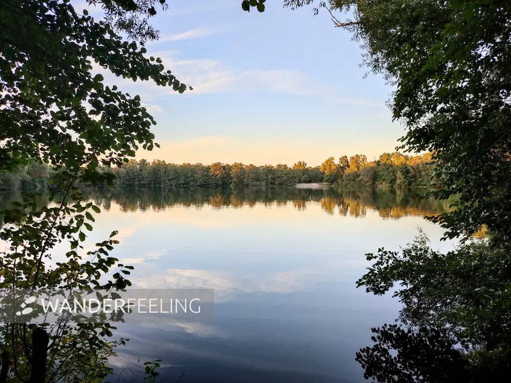 202309241-25 - Boberger See in der Boberger Niederung, Hamburg, Deutschland
