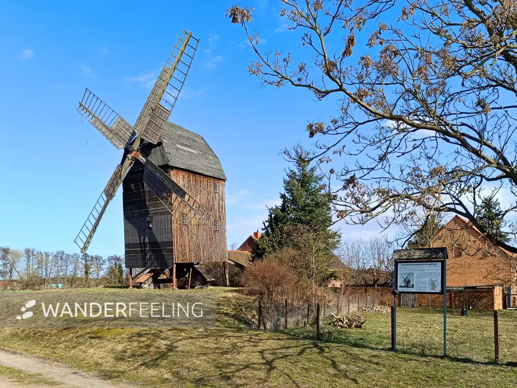 202603120-12 - Bockwindmühle in Mützel, Elbe-Börde-Heide, Sachsen-Anhalt, Deutschland