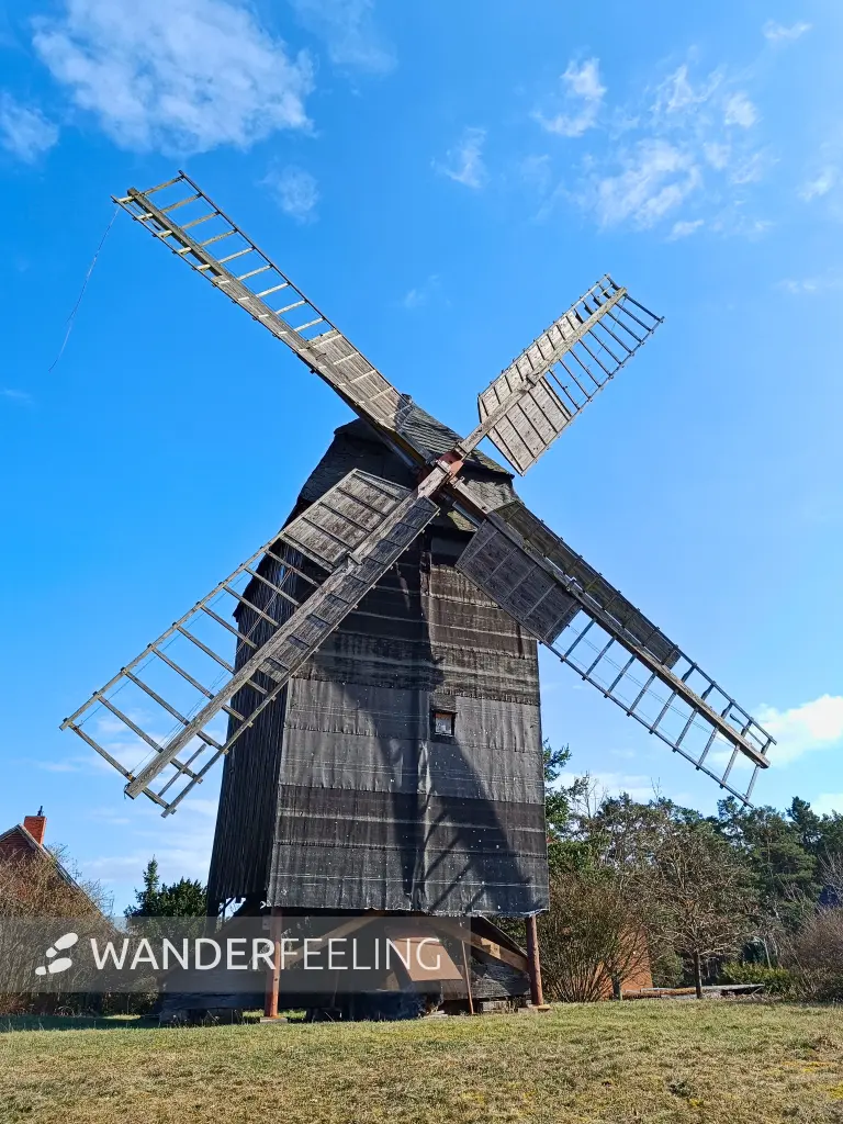 202603120-13 - Bockwindmühle in Mützel, Elbe-Börde-Heide, Sachsen-Anhalt, Deutschland