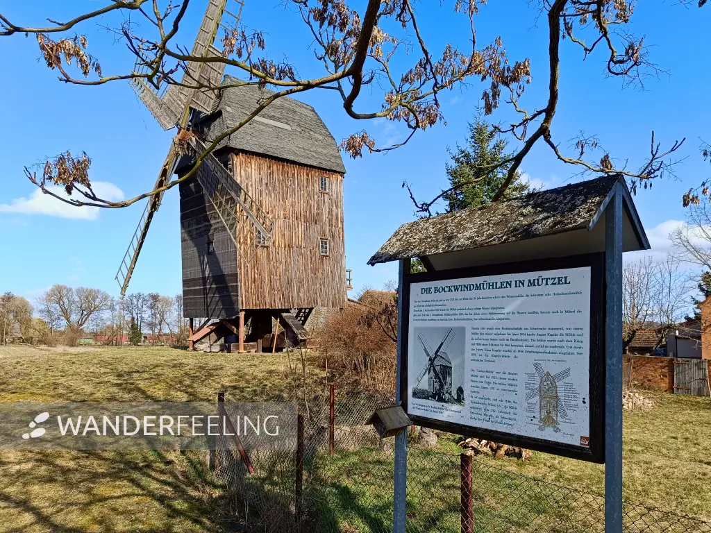 202603120-14 - Bockwindmühle in Mützel, Elbe-Börde-Heide, Sachsen-Anhalt, Deutschland