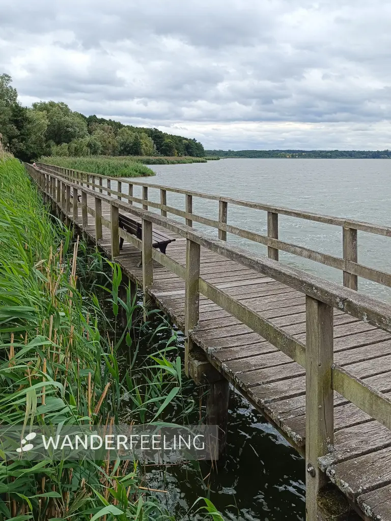 202609040-25 - Bohlenweg am Blankensee, Fläming, Brandenburg, Deutschland