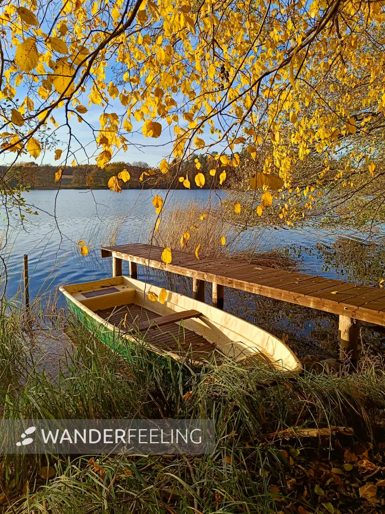 202511040-26 - Boot auf dem Schlesersee bei Carpin, Mecklenburgische Seenplatte, Mecklenburg-Vorpommern, Deutschland