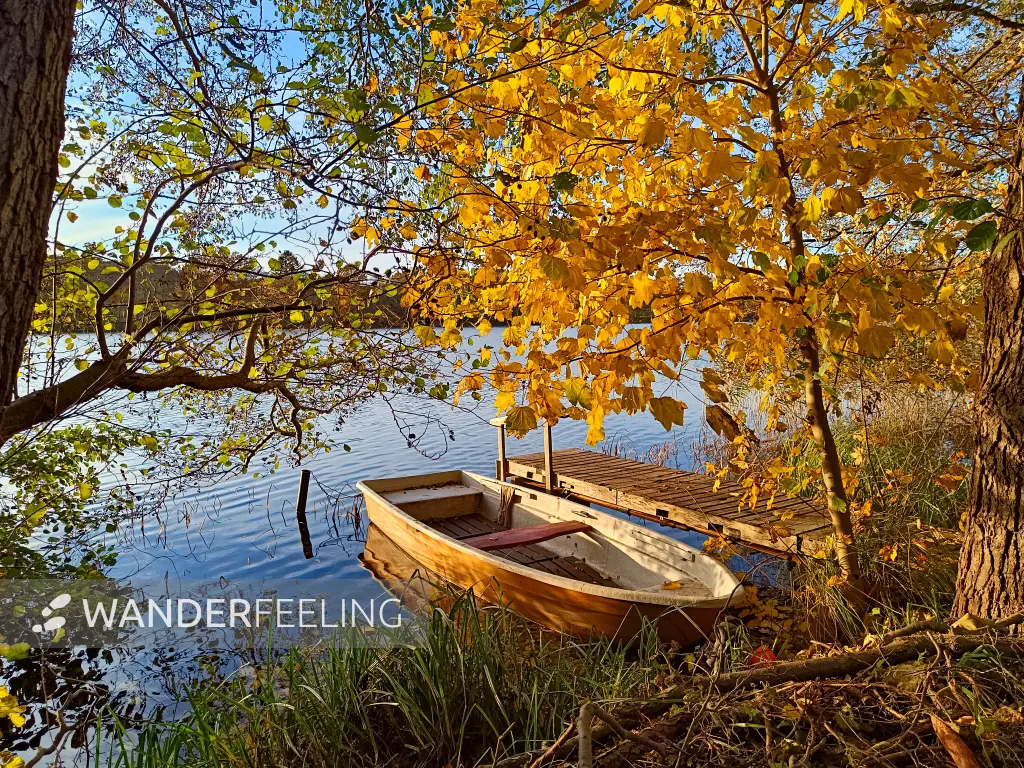 202511040-27 - Boot auf dem Schlesersee bei Carpin, Mecklenburgische Seenplatte, Mecklenburg-Vorpommern, Deutschland