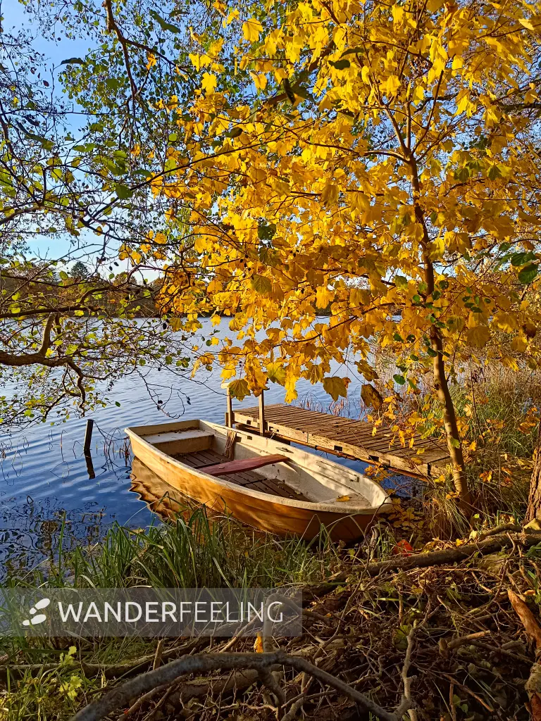 202511040-28 - Boot auf dem Schlesersee bei Carpin, Mecklenburgische Seenplatte, Mecklenburg-Vorpommern, Deutschland