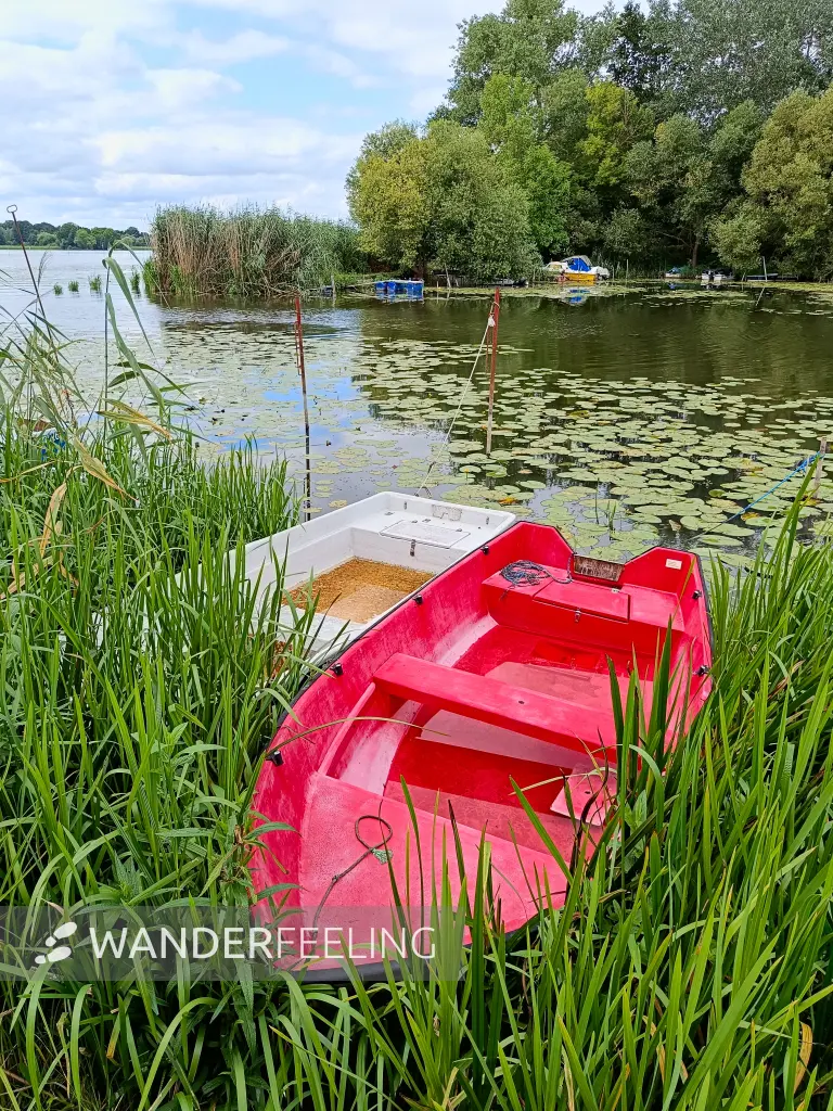 202507260-30 - Boote am Wendsee bei Kirchmöser, Havelland, Brandenburg, Deutschland