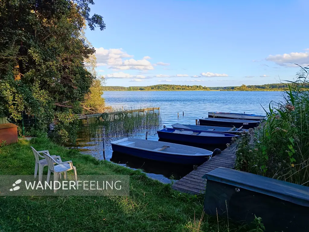 202508200-40 - Boote auf dem Feisnecksee bei Waren, Mecklenburgische Seenplatte, Mecklenburg-Vorpommern, Deutschland