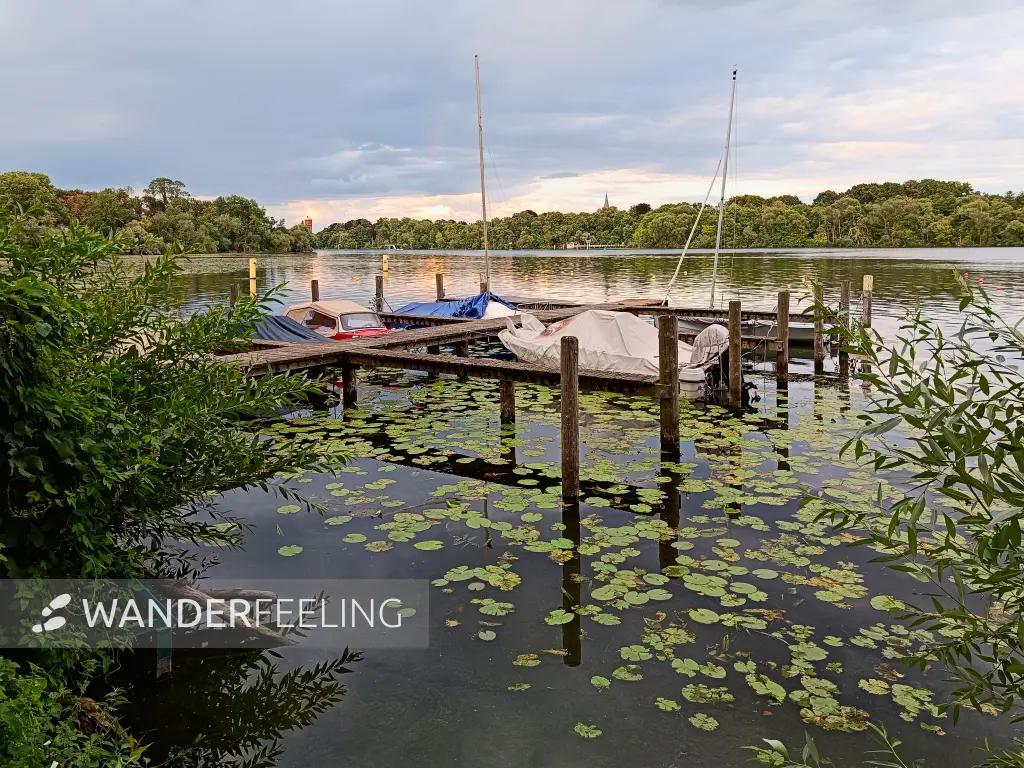202507300-33 - Boote auf dem Templiner See, Potsdam, Brandenburg, Deutschland