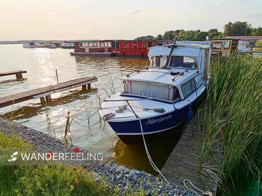 202506030-43 - Boote auf dem Zierker See bei Neustrelitz, Mecklenburgische Seenplatte, Mecklenburg-Vorpommern, Deutschland