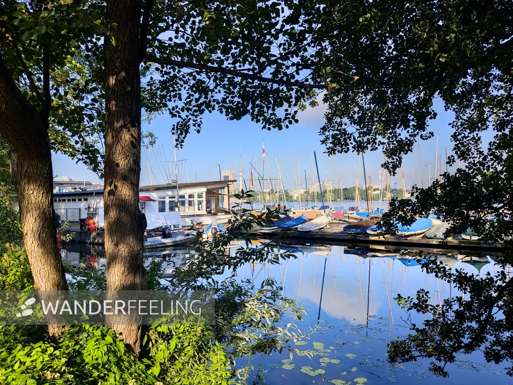 202308200-03 - Boote auf der Außenalster, Hamburg, Deutschland