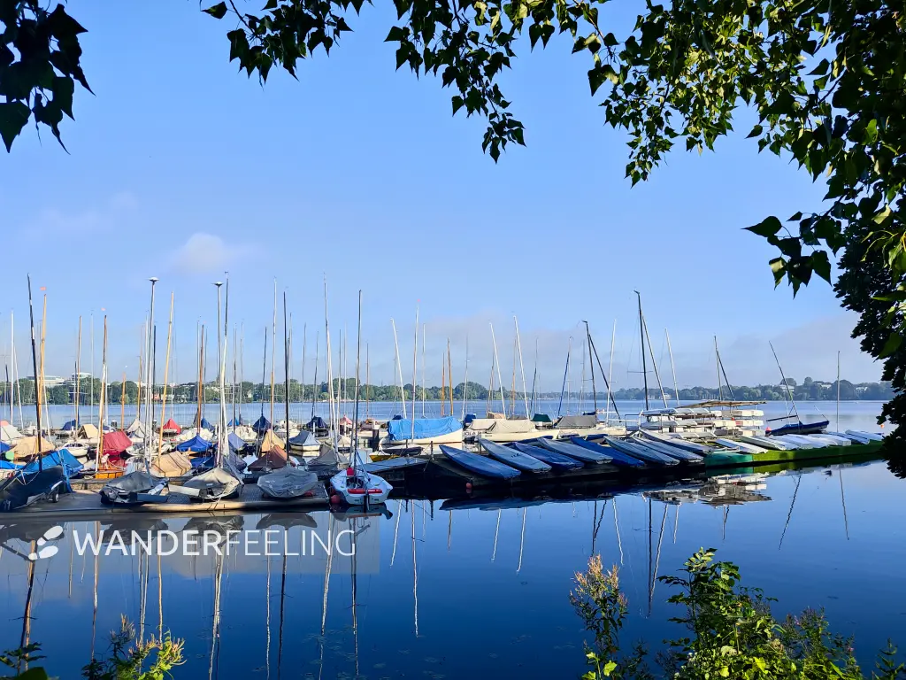 202308200-04 - Boote auf der Außenalster, Hamburg, Deutschland