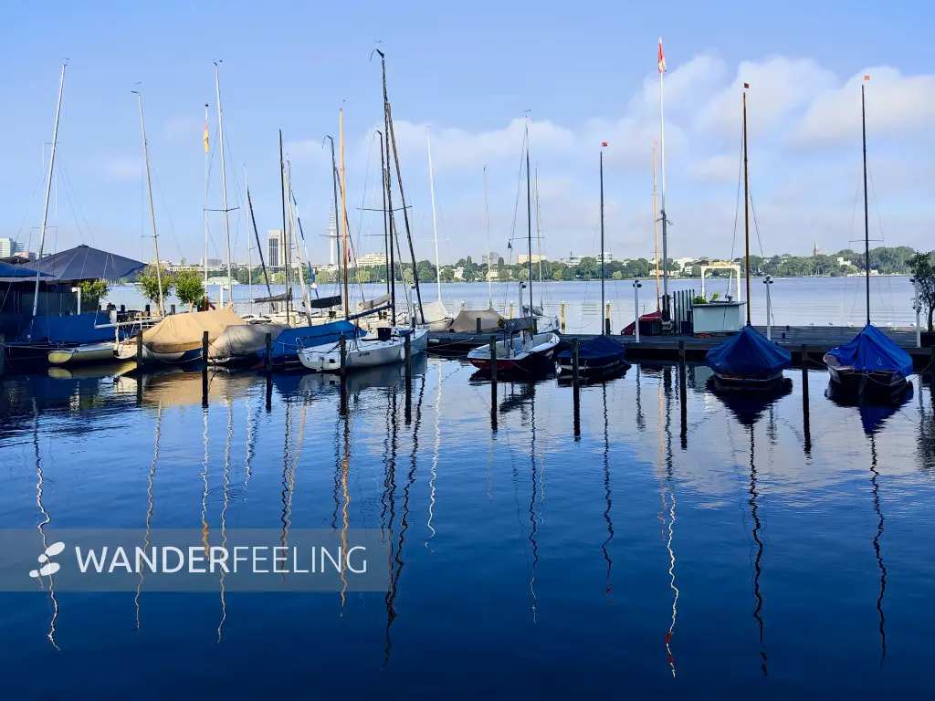 202308200-07 - Boote auf der Außenalster, Hamburg, Deutschland