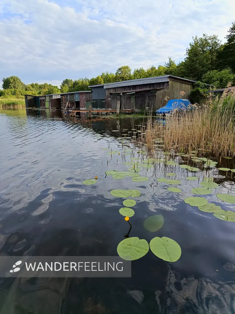202606060-47 - Bootshäusern auf dem Woblitzsee bei Wesenberg, Mecklenburgische Seenplatte, Mecklenburg-Vorpommern, Deutschland