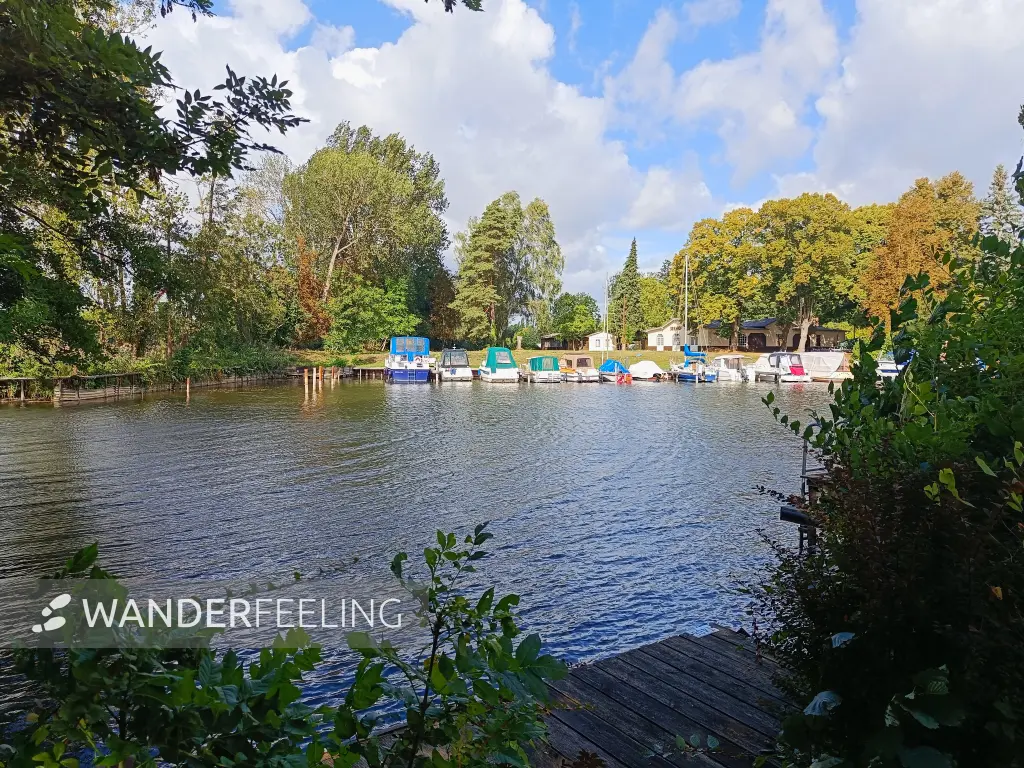 202609050-08 - Bootshafen in Seehof, Ruppiner Seenland, Brandenburg, Deutschland