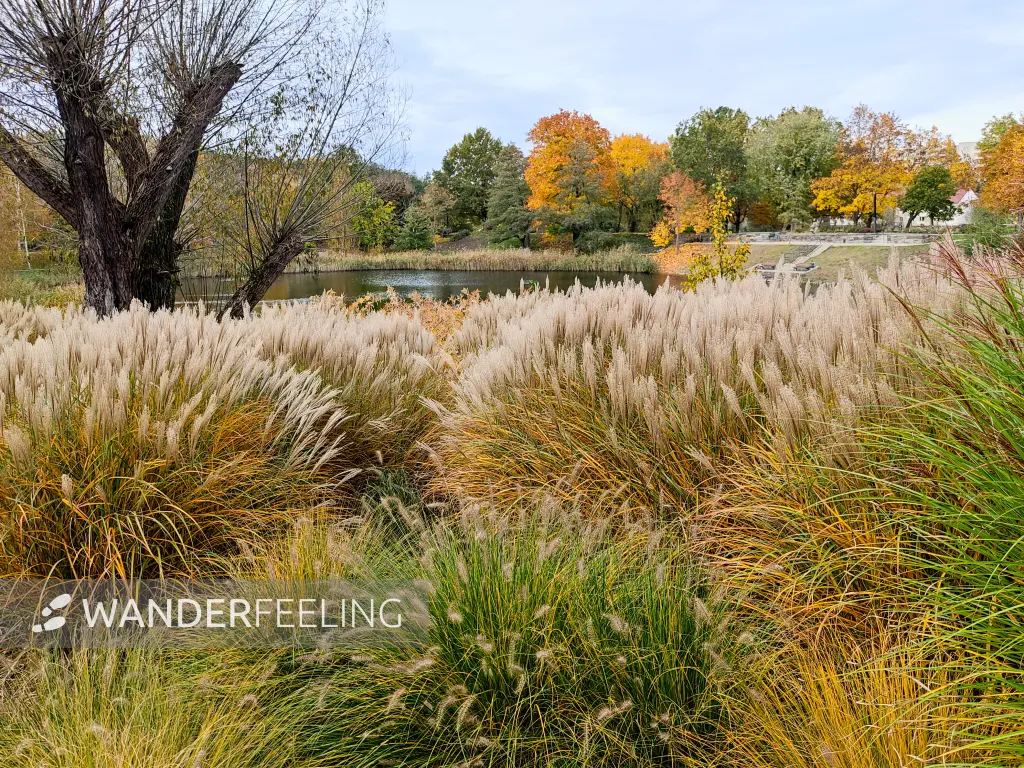 202311020-35 - Botanischer Garten in Frankfurt (Oder), Seenland Oder-Spree, Brandenburg, Deutschland