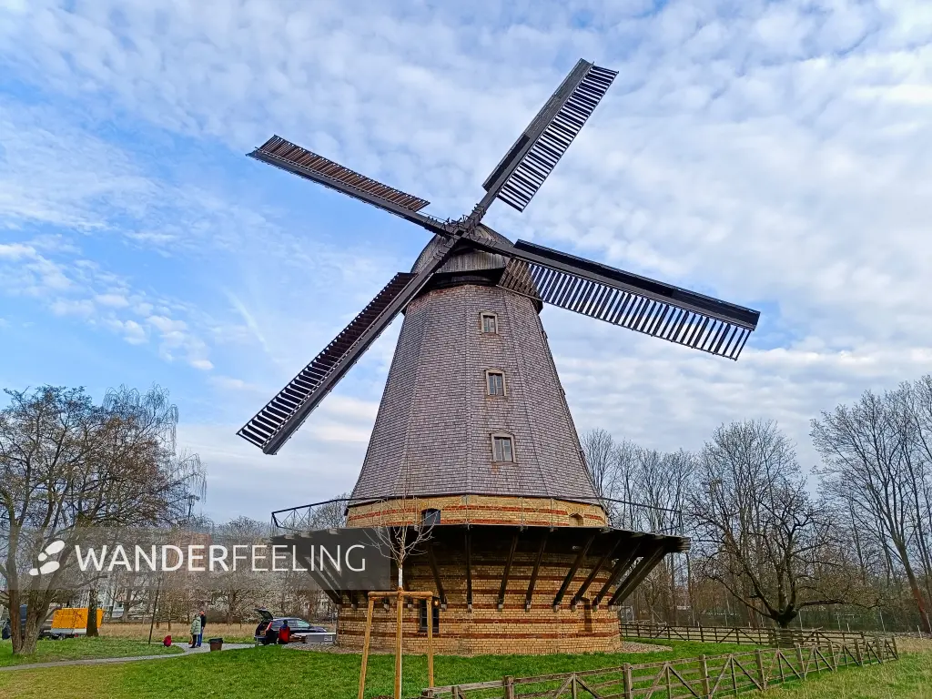 202503290-36 - Britzer Mühle in Britz, Berlin, Deutschland