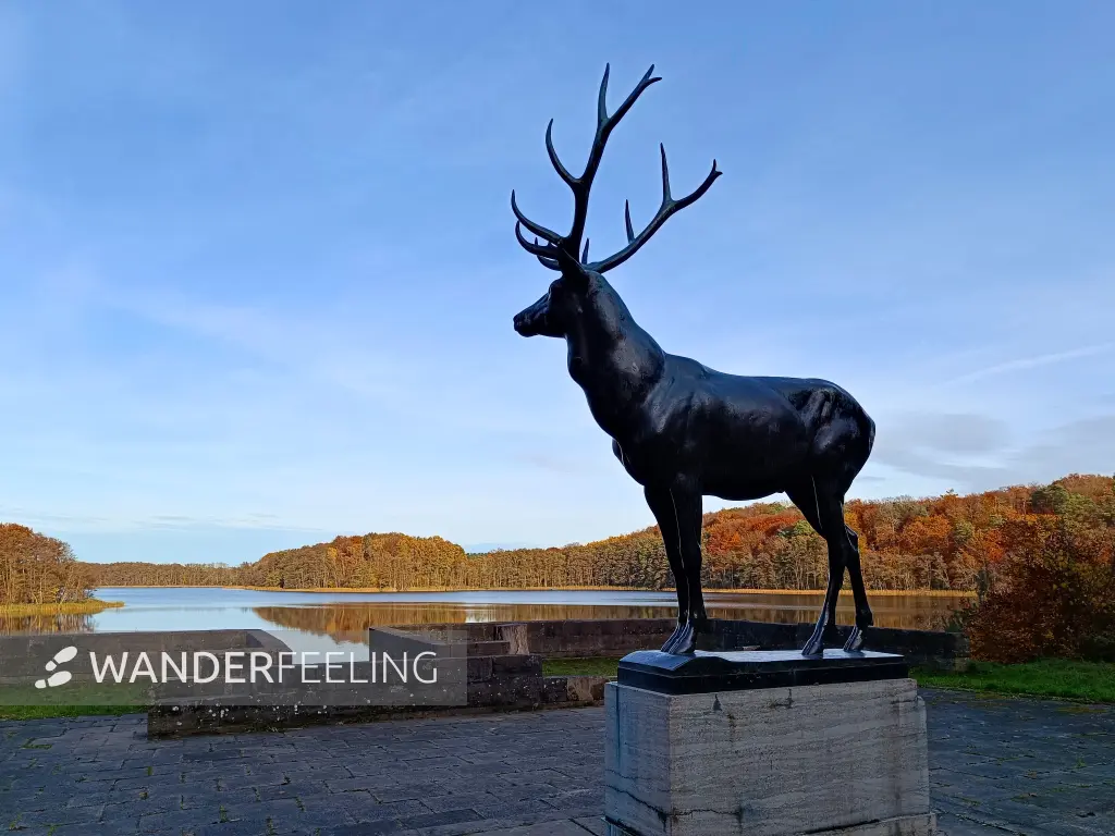 202511050-29 - Bronzener Hirsch am Groß Labenzer See bei Friedrichswalde, Mecklenburgische Seenplatte, Mecklenburg-Vorpommern, Deutschland