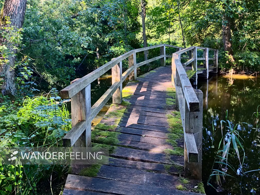 202309040-24 - Brücke am Huwenowsee bei Meseberg, Ruppiner Seenland, Brandenburg, Deutschland
