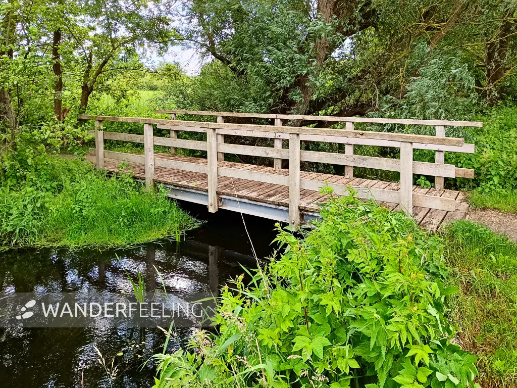 202406050-11 - Brücke in der Aalbeek-Niederung, Lübecker Bucht, Schleswig-Holstein, Deutschland