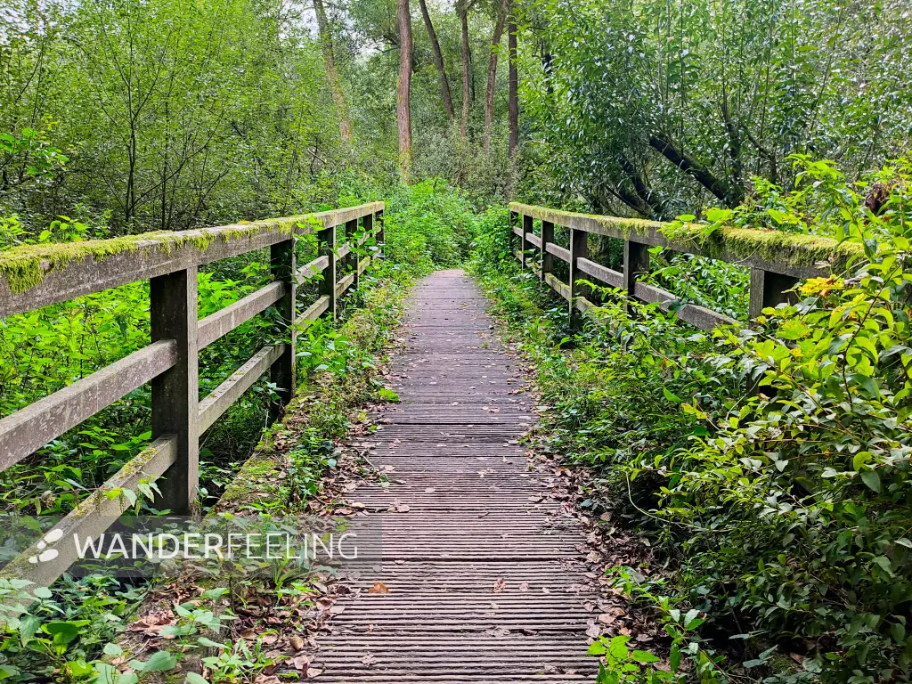 202309230-19 - Brücke übe die Bille bei Wohltorf, Herzogtum Lauenburg und Stormarn, Schleswig-Holstein, Deutschland
