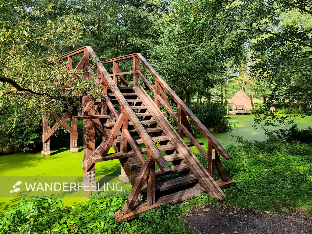 202310060-04 - Brücke über das Göritzer Mühlenfließ bei Raddusch, Spreewald, Brandenburg, Deutschand