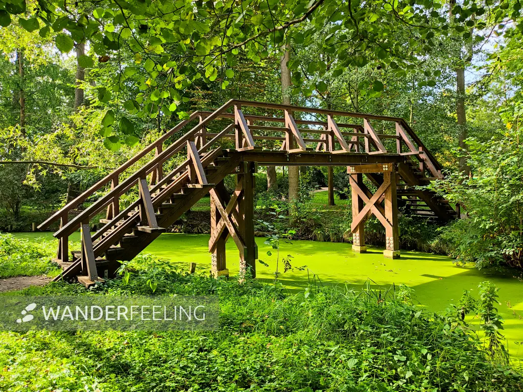 202310060-05 - Brücke über das Göritzer Mühlenfließ bei Raddusch, Spreewald, Brandenburg, Deutschand