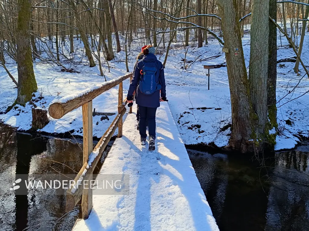 202502150-08 - Brücke über das Hellmühler Fließ im Biesenthaler Becken, Barnimer Land, Brandenburg, Deutschland