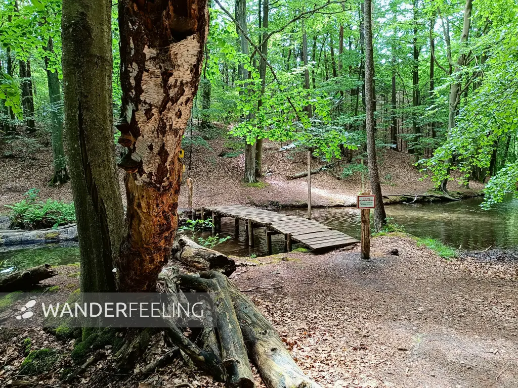 202405290-44 - Brücke über den Mechowbach, Mecklenburgische Seenplatte, Mecklenburg-Vorpommern, Deutschland