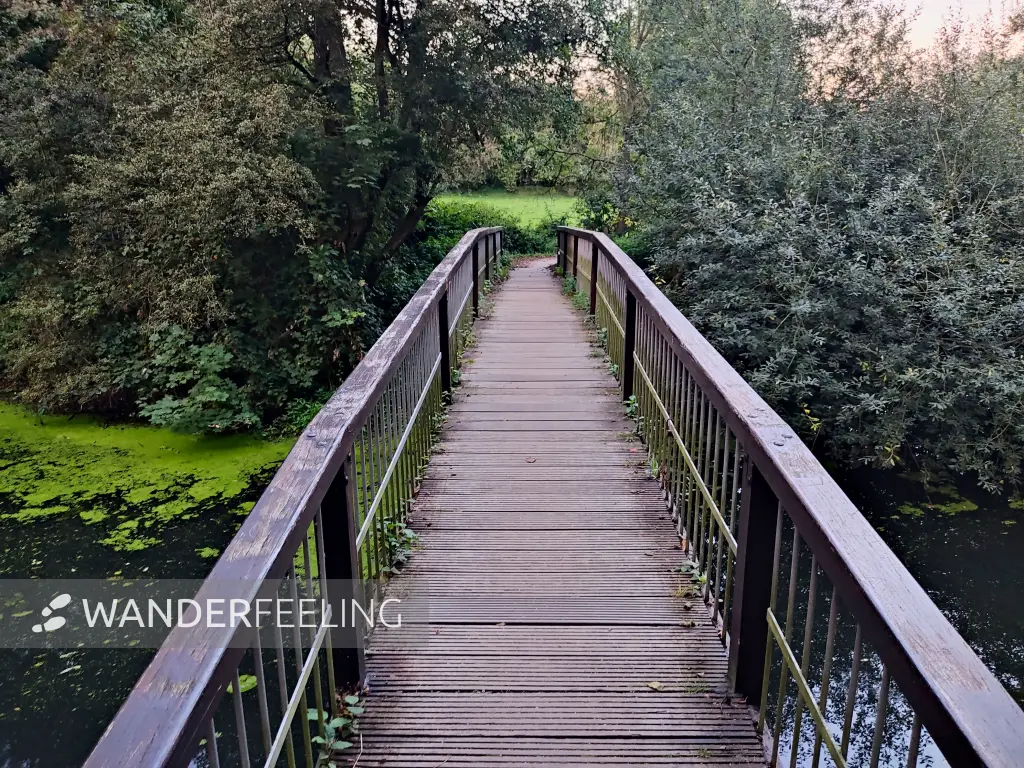 202309241-28 - Brücke über die Bille an der Boberger Niederung, Hamburg, Deutschland