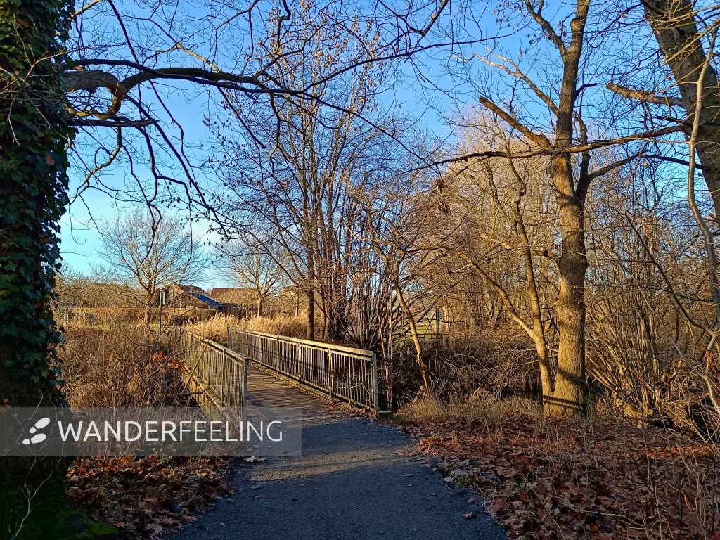 202512150-01 - Brücke über die Kleine Elster in Doberlug-Kirchhain, Elbe-Elster-Land, Brandenburg, Deutschland