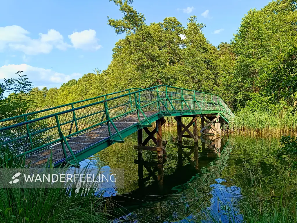 202506110-50 - Brücke über die Schmalung bei Pian, Ruppiner Seenland, Brandenburg, Deutschland