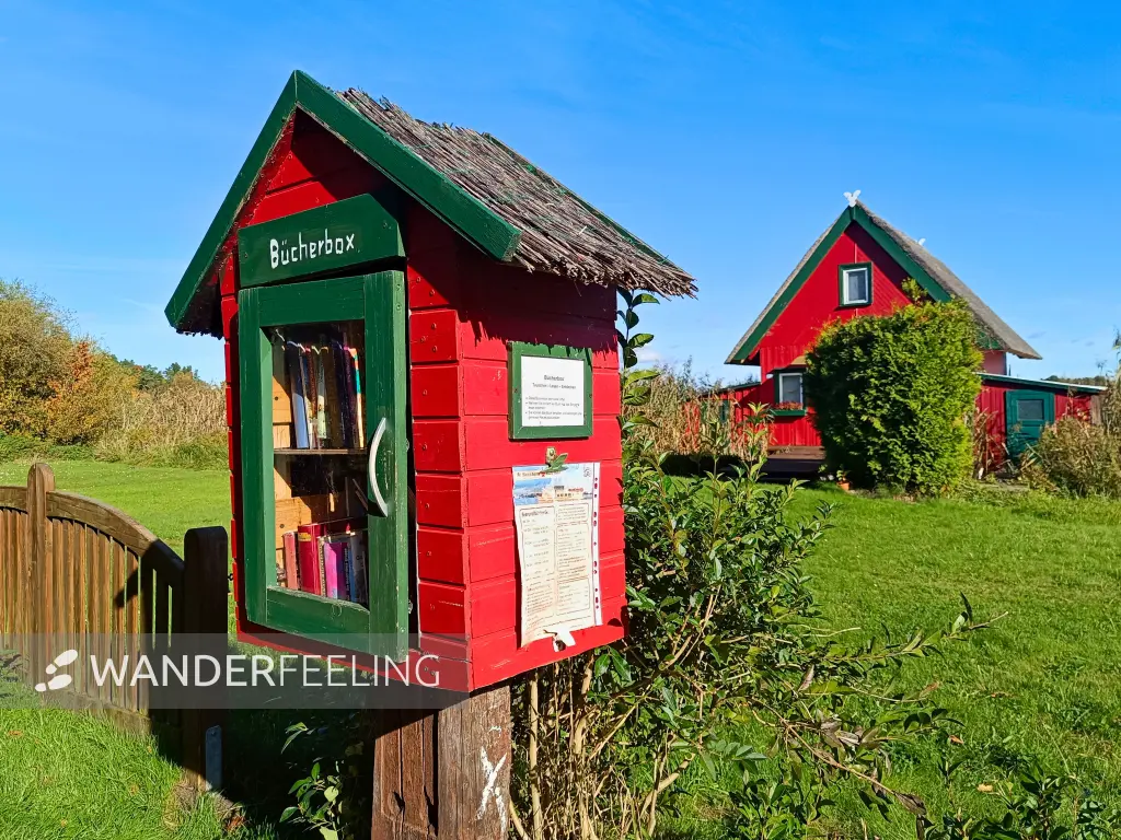 202510130-25 - Bücherbox und Bootshaus in Krakow am See, Mecklenburgische Seenplatte, Mecklenburg-Vorpommern, Deutschland