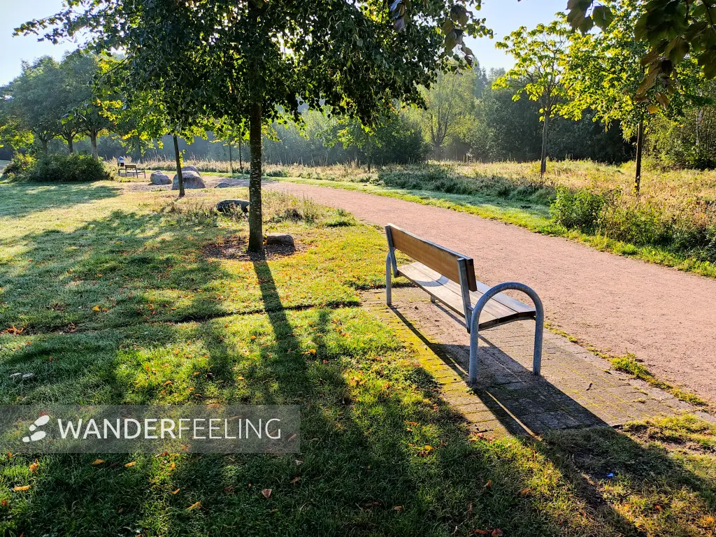 202309240-04 - Bürgerpark Henstedt-Ulzburg, Schleswig-Holstein, Deutschland