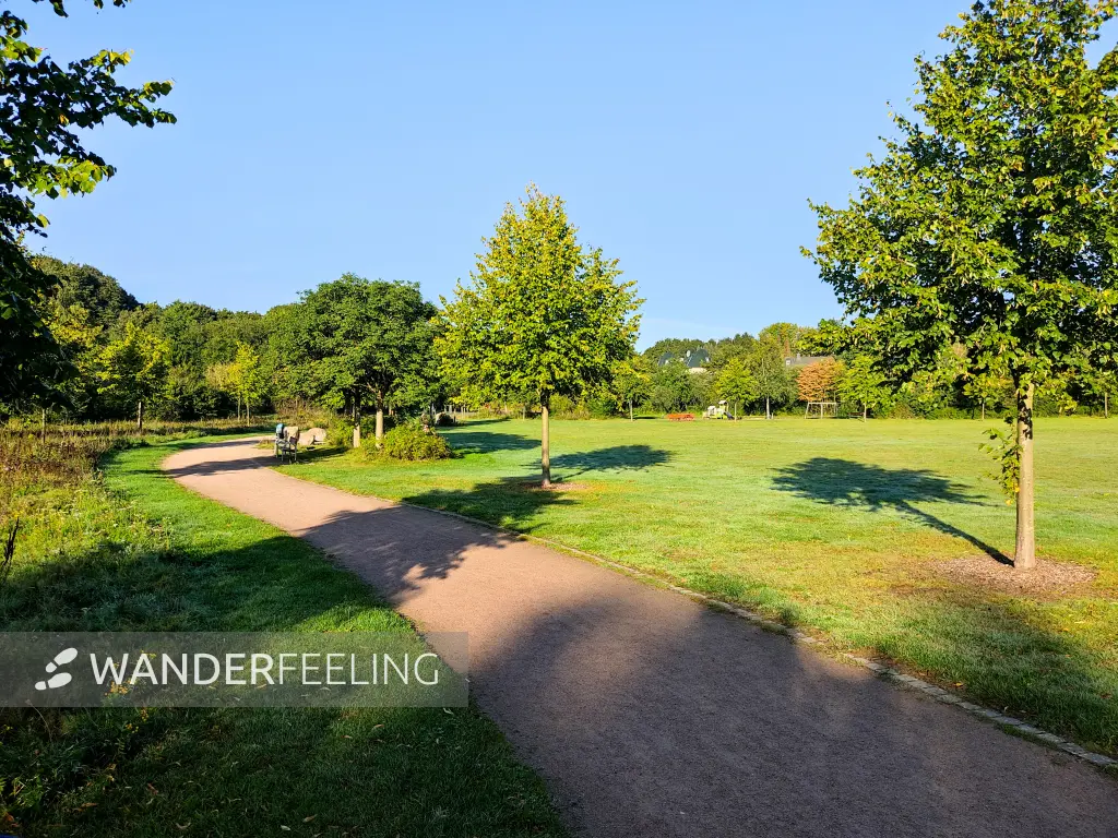 202309240-05 - Bürgerpark Henstedt-Ulzburg, Schleswig-Holstein, Deutschland