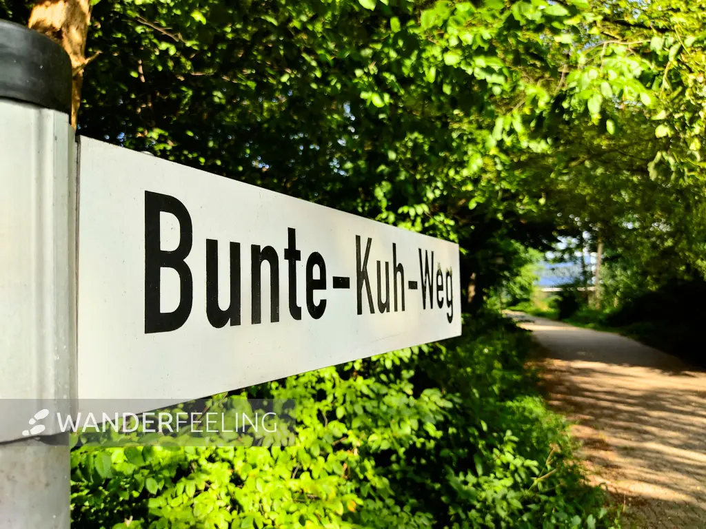 202308201-02 - Bunte-Kuh-Weg in Buxtehude, Niedersachsen, Deutschland