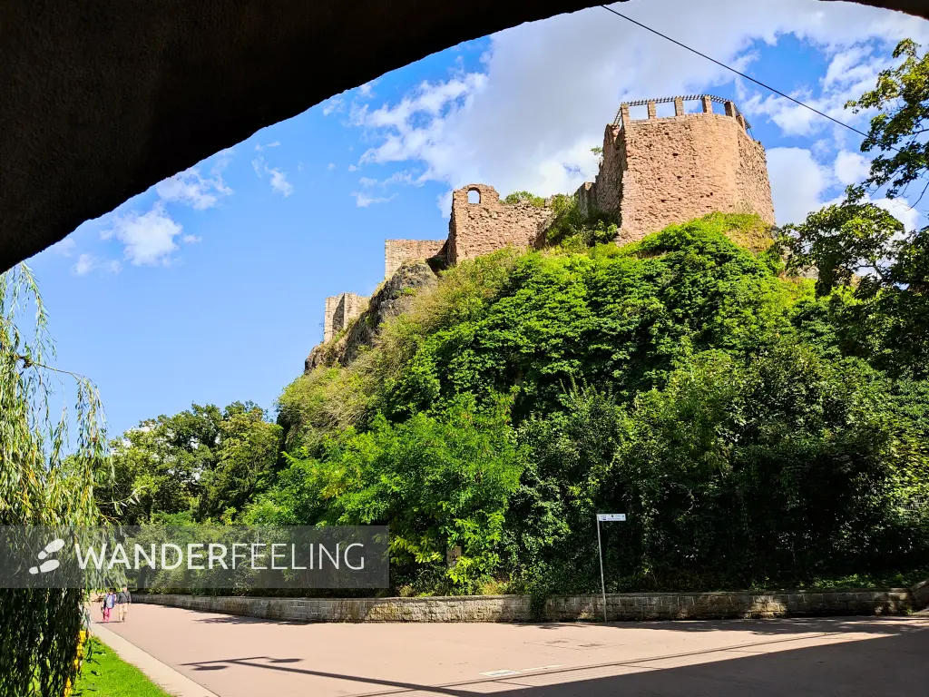 202308090-46 - Burg Giebichenstein in Halle, Sachsen-Anhalt, Deutschland