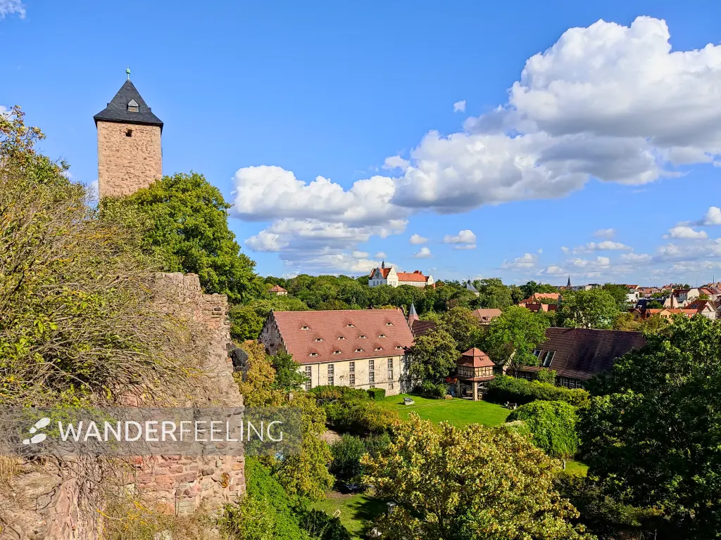202308090-52 - Burg Giebichenstein in Halle, Sachsen-Anhalt, Deutschland