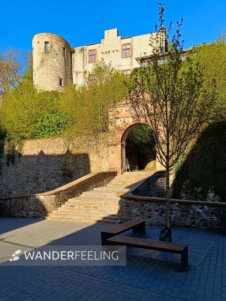 202604240-41 - Burg in Bad Münstereifel, Eifel, Nordrhein-Westfalen, Deutschland