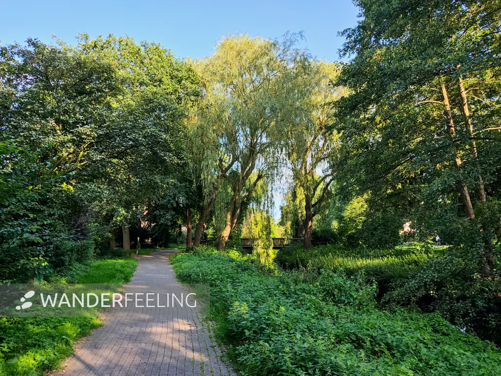 202308201-07 - Buxtehuder Stadtgraben in Buxtehude, Niedersachsen, Deutschland